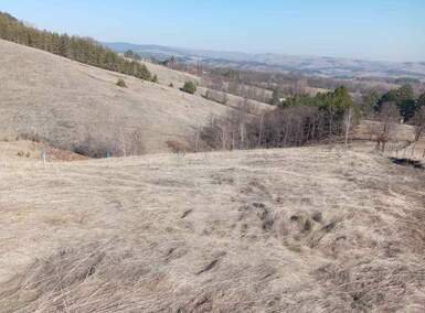Plac, Divčibare, prodaja, 1000m2, 10000e, id1376784