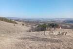 Plac, Divčibare, prodaja, 1000m2, 10000e, id1376784