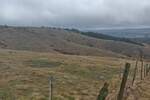 Plac, Divčibare, prodaja, 1000m2, 10000e, id1376784
