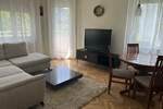 Dvosoban stan, Novi Sad, Grbavica, izdavanje, 55m2, 550e, id1376794