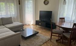 Dvosoban stan, Novi Sad, Grbavica, izdavanje, 55m2, 550e, id1376794