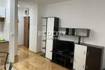 Jednosoban stan, Novi Sad, Grbavica, izdavanje, 23m2, 280e, id1376901