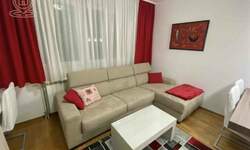 Dvosoban stan, Beograd, Gornji Dorćol, izdavanje, 32m2, 700e, id1376996