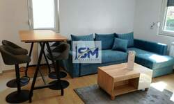Dvosoban stan, Beograd, Zemun Bačka, izdavanje, 42m2, 500e, id1352918