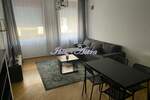 Jednoiposoban stan, Beograd, Crveni Krst, izdavanje, 38m2, 550e, id1377076