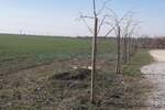Plac, Beograd, Zemun (novi Grad), prodaja, 10000m2, 900000e, id1377162