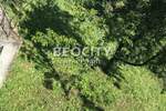 Plac, Beograd, Zvezdara, prodaja, 500m2, 35000e, id1377189