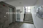 Dvosoban stan, Beograd, Galenika, izdavanje, 58m2, 480e, id1377608
