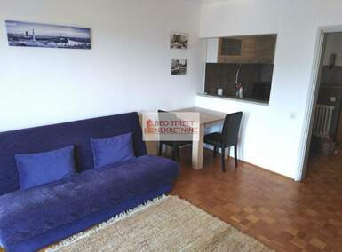 Jednosoban stan, Beograd, Centar (Savski venac), izdavanje, 32m2, 450e, id1377611