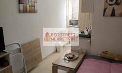 Garsonjera, Beograd, Hadžipopovac, izdavanje, 20m2, 300e, id1377612