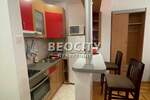 Dvosoban stan, Novi Sad, Grbavica, izdavanje, 31m2, 330e, id1377634