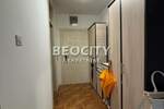 Jednosoban stan, Novi Sad, Centar, izdavanje, 30m2, 300e, id1377655