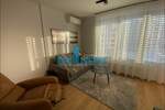 Jednosoban stan, Beograd, Dorćol, izdavanje, 32m2, 1100e, id873721