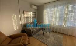Jednosoban stan, Beograd, Dorćol, izdavanje, 32m2, 1100e, id873721
