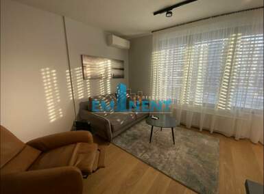 Jednosoban stan, Beograd, Dorćol, izdavanje, 32m2, 1100e, id873721