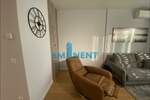 Jednosoban stan, Beograd, Dorćol, izdavanje, 32m2, 1100e, id873721