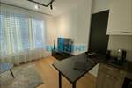 Jednosoban stan, Beograd, Dorćol, izdavanje, 32m2, 1100e, id873721
