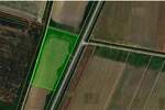 Plac, Beograd, Petrovcic, prodaja, 16713m2, 285000e, id1378162