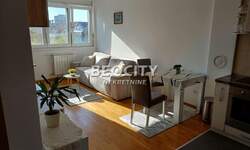 Dvosoban stan, Novi Sad, Podbara, izdavanje, 39m2, 450e, id1378226