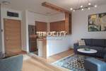 Dvosoban stan, Beograd, Blok 65, izdavanje, 55m2, 1000e, id1378294