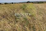 Plac, Beograd, Sremčica, prodaja, 7900m2, 293160e, id1378406