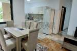 Jednoiposoban stan, Niš, Palilula, izdavanje, 47m2, 350e, id1378748