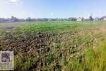 Plac, Beograd, Draževac, prodaja, 0m2, 41600e, id1378758