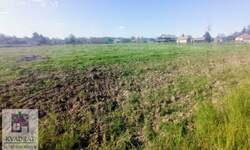 Plac, Beograd, Draževac, prodaja, 0m2, 41600e, id1378758