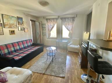 Jednoiposoban stan, Beograd, Lion, izdavanje, 40m2, 500e, id1378774