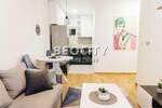 Dvosoban stan, Novi Sad, Rotkvarija, izdavanje, 40m2, 550e, id1378794
