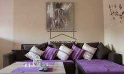 Garsonjera, Novi Sad, Rotkvarija, izdavanje, 31m2, 300e, id1370784