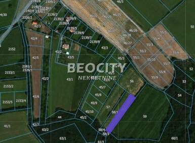 Plac, Beograd, Kosmaj, prodaja, 120000m2, 150000e, id1379010