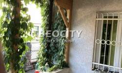 Kuca, Novi Sad, Podbara, izdavanje, 220m2, 1500e, id1379047