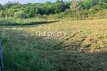 Plac, Novi Sad, prodaja, 1600m2, 160000e, id1379321