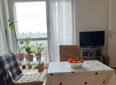 Garsonjera, Beograd, Šumice, izdavanje, 23m2, 350e, id1344839