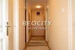 Dvosoban stan, Beograd, Čukarička Padina, izdavanje, 60m2, 500e, id1379518
