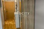 Jednosoban stan, Novi Sad, Centar, izdavanje, 28m2, 370e, id1379536
