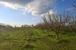 Plac, Kikinda, prodaja, 11510m2, 40000e, id1379636