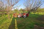 Plac, Kikinda, prodaja, 11510m2, 40000e, id1379636