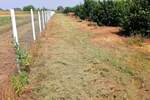 Plac, Subotica, prodaja, 47000m2, 125000e, id1379637