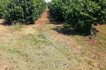 Plac, Subotica, prodaja, 47000m2, 125000e, id1379637