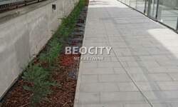 Poslovni prostor / Lokal, Novi Sad, Centar, izdavanje, 350m2, 5250e, id1380669
