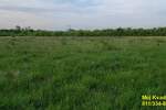 Plac, Beograd, Draževac, prodaja, 0m2, 40500e, id1380721