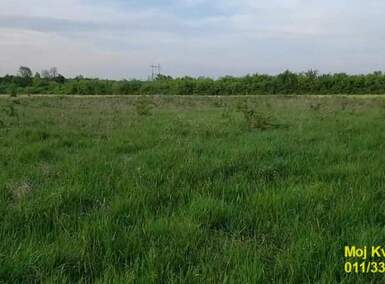 Plac, Beograd, Draževac, prodaja, 0m2, 40500e, id1380721