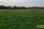 Plac, Beograd, Draževac, prodaja, 0m2, 40500e, id1380721