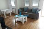 Dvosoban stan, Beograd, Lekino Brdo, izdavanje, 35m2, 600e, id1380746
