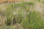Plac, Beograd, Sremčica, prodaja, 15100m2, 455333e, id1380941