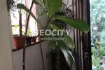 Kuca, Novi Sad, Centar, prodaja, 160m2, 500000e, id1380978