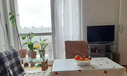 Garsonjera, Beograd, Šumice, izdavanje, 23m2, 350e, id1344839