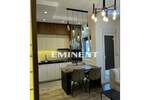 Dvosoban stan, Beograd, Dimitrija Tucovića, izdavanje, 36m2, 700e, id1381340